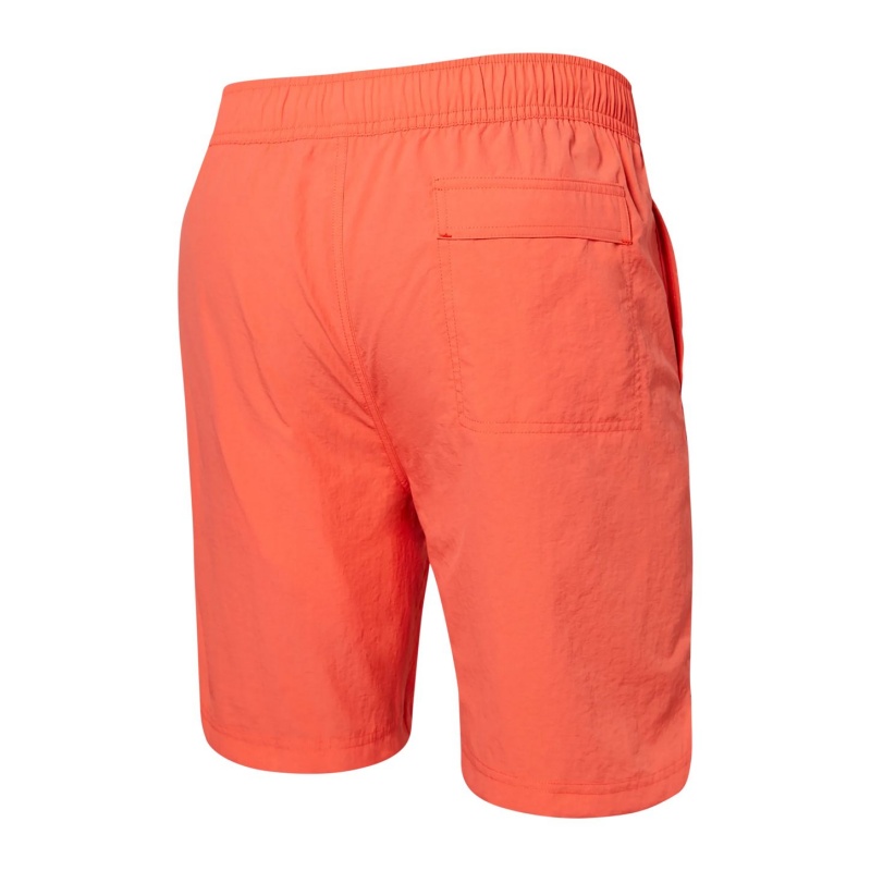 Saxx Go Coastal Shorts | 7346-VSKZE